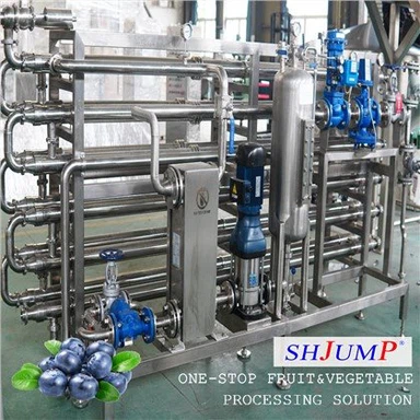 Linija za preradu džema od borovnice