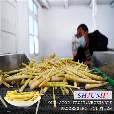 Linija za obradu izdanaka bambusa