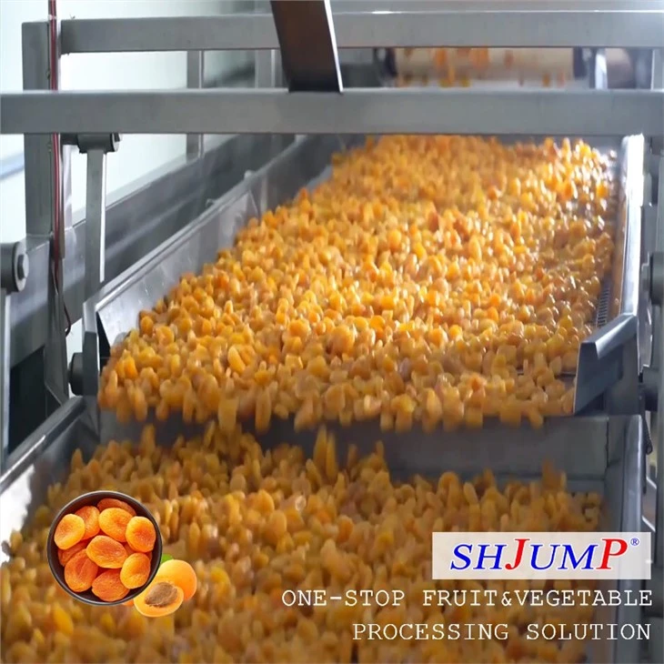 Dried Apricot Processing Line