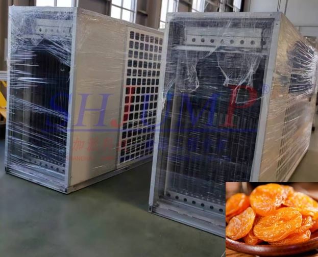 Dried Apricot Processing Production Line