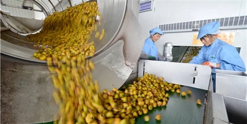 Mašina za pranje rublja s valjkom——Detaljan pregled industrijske opreme za pr...